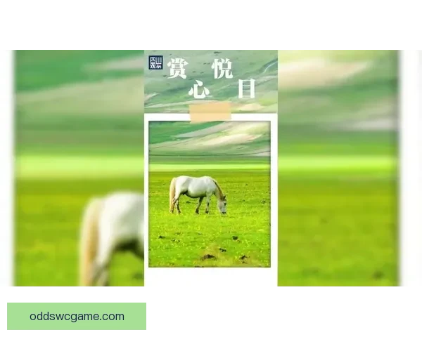 世界杯竞猜签到奖励大放送 赢取丰厚奖品与专属福利等你来拿 世界杯竞猜签到奖励大放送 赢取丰厚奖品与专属福利等你来拿